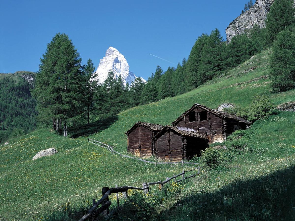 Apartment Bellevue-6 By Interhome Zermatt Ngoại thất bức ảnh