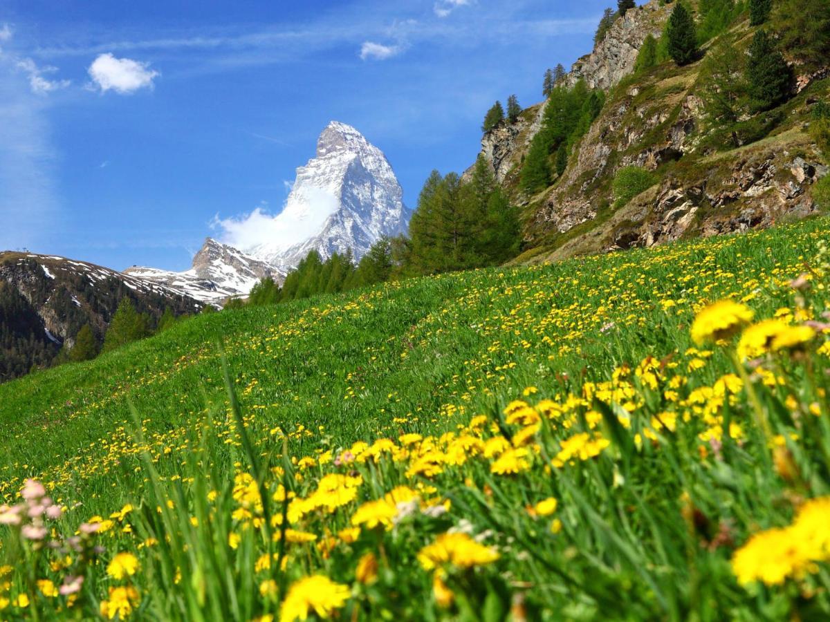 Apartment Bellevue-6 By Interhome Zermatt Ngoại thất bức ảnh
